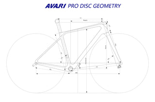 AVARI PRO DISC