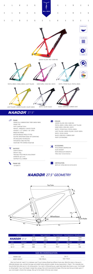 Elves Nandor 27.5