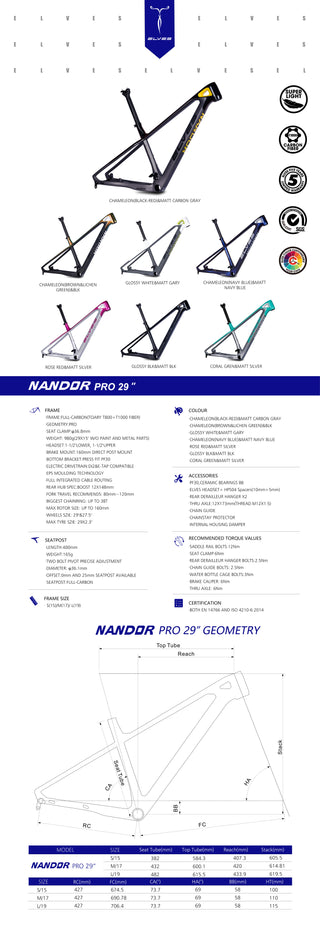 Elves Nandor Pro 29